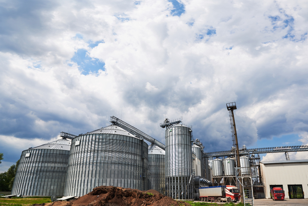 Rice Mill Plants